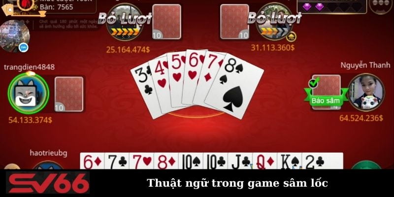 Sâm Lốc net88 Lý Do Sâm Lốc Net88 Là Sự Lựa Chọn Hàng Đầu